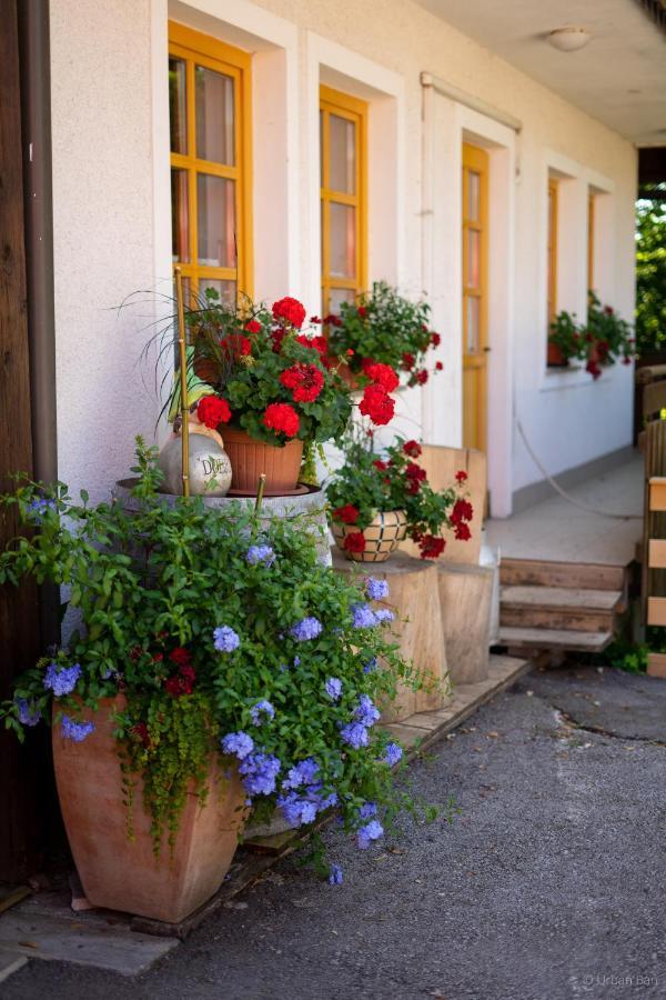 Gostilna Logar Hotel Hotemaze ภายนอก รูปภาพ